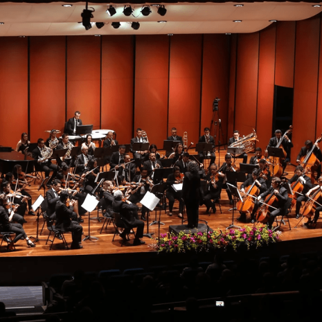Escuela Sinfónica de Antioquía